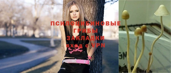 молекула духа Касимов