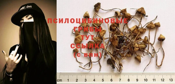 молекула духа Касимов