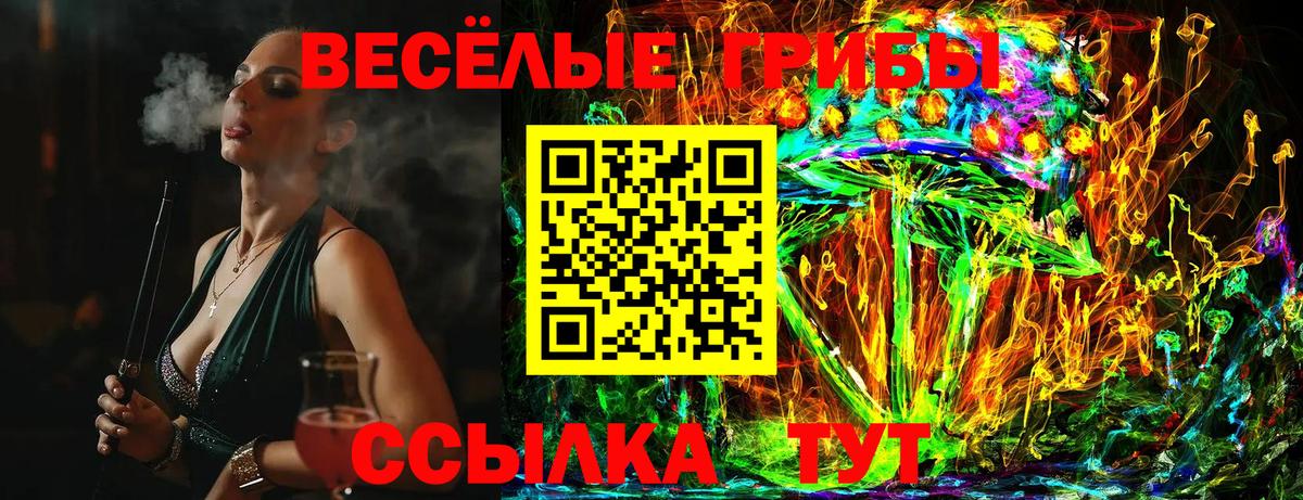 Галлюциногенные грибы Psilocybe Новошахтинск